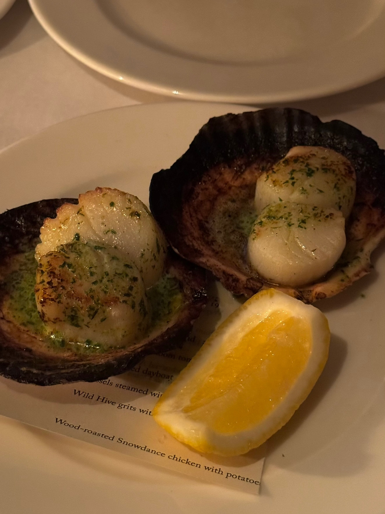 Seared Scallops